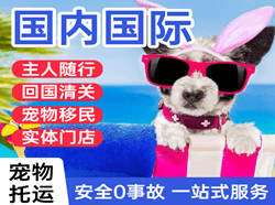 南昌航空快递国际宠物托运 【国